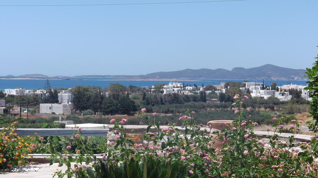 Narkissos Studios Aliki  Bilik gambar