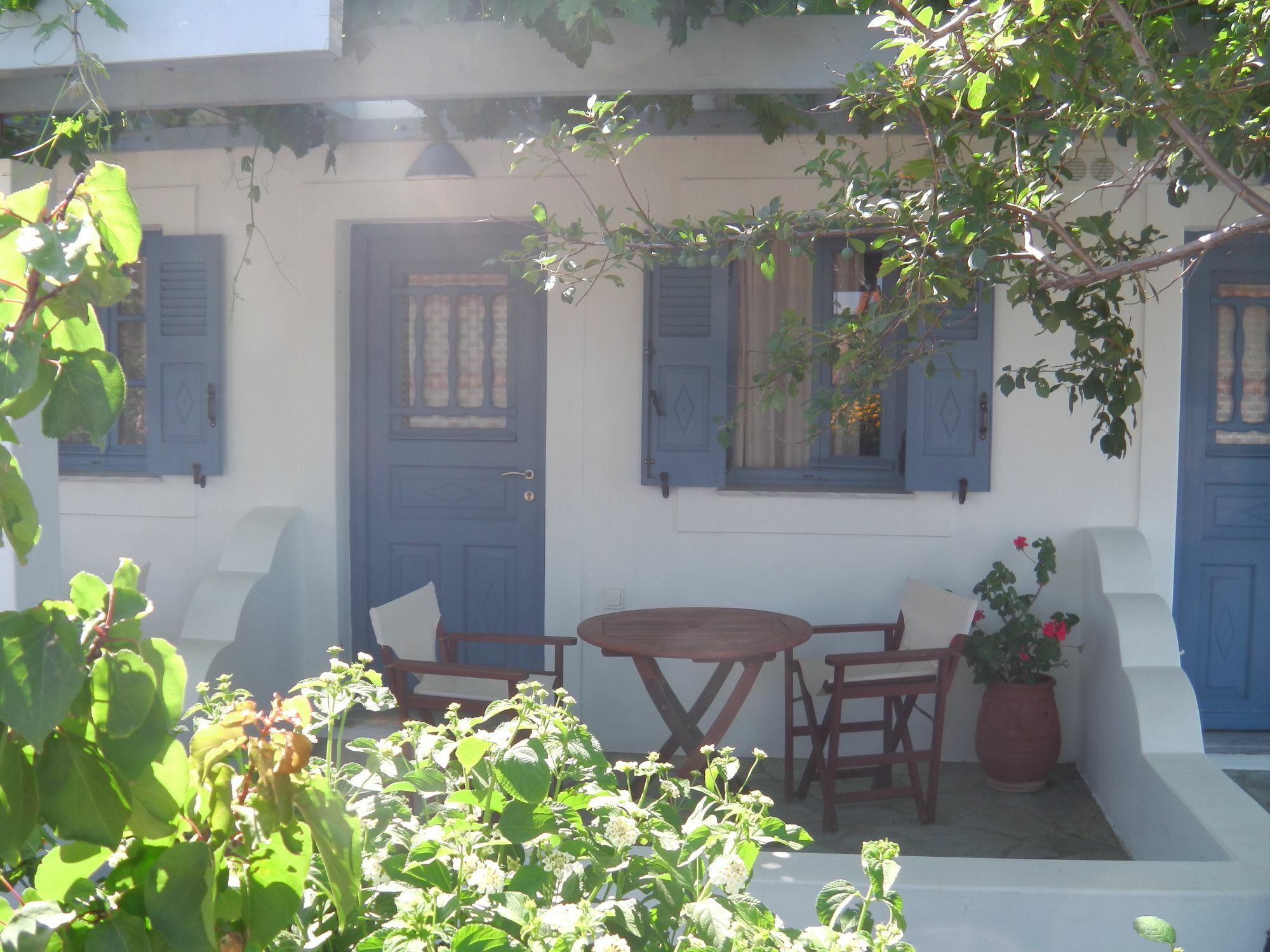 Narkissos Studios Aliki  Luaran gambar