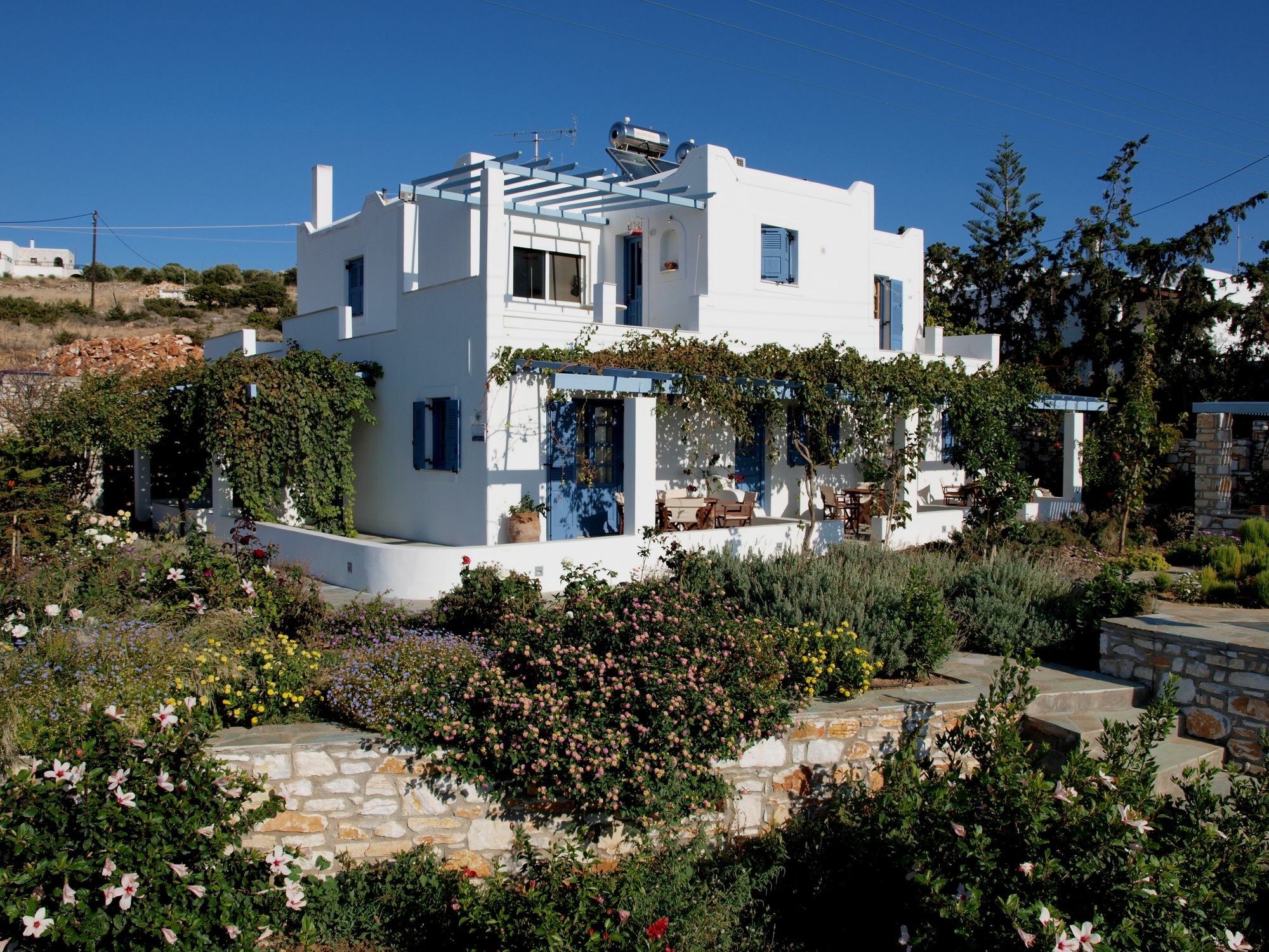 Narkissos Studios Aliki  Luaran gambar
